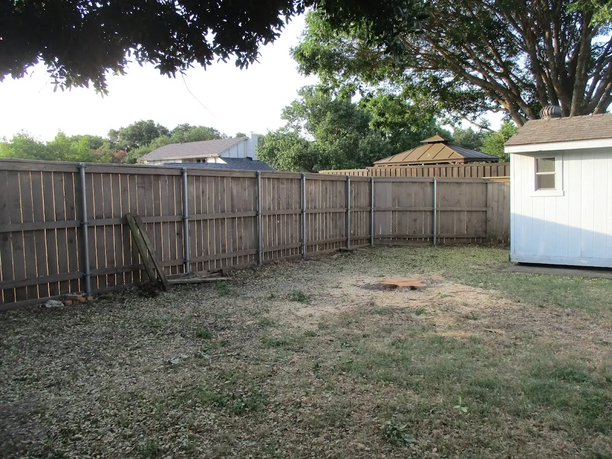 Cleared yard after professional tree removal in Erwinna